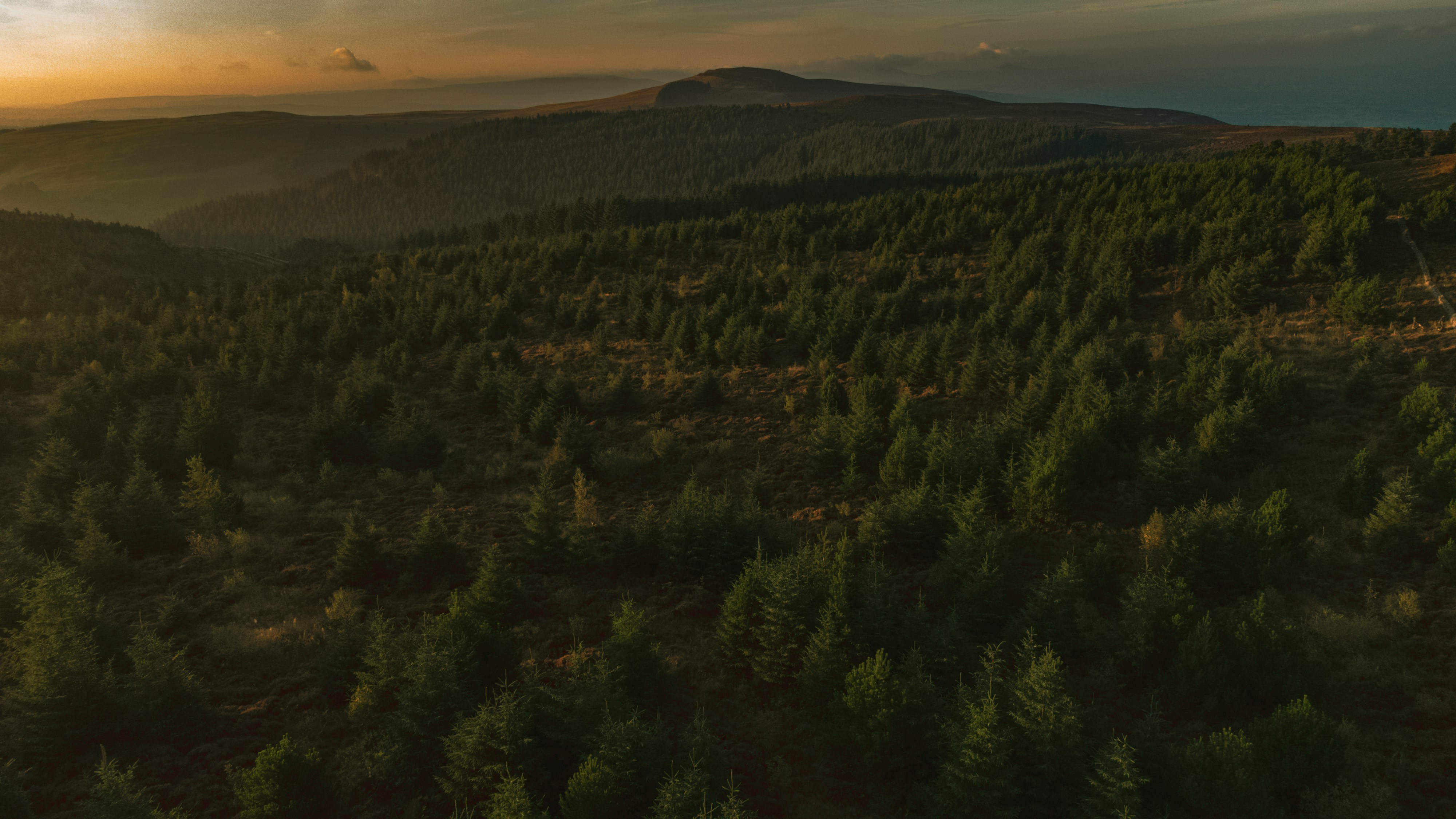 Aerial Habitat Survey